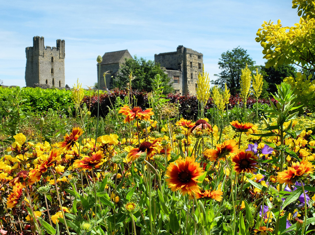 Helmsley Walled Garden景点图片