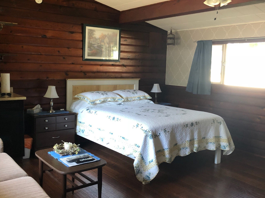 The Cedars Motel主图