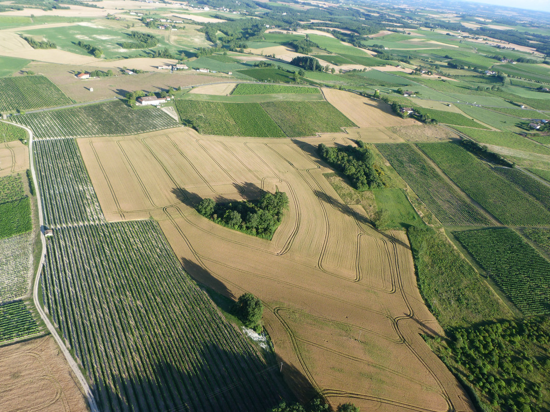 Atmosph'Air Montgolfières Occitanes景点图片