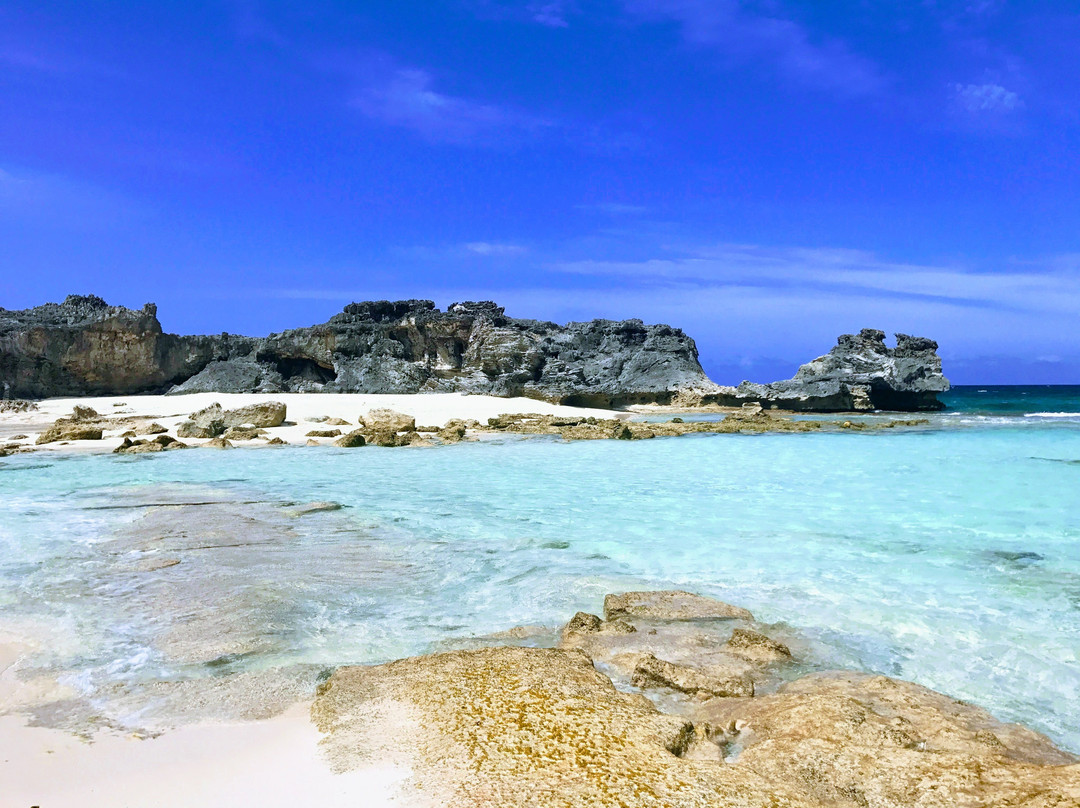 Indigenous Tours and Rentals-Kew必去景点