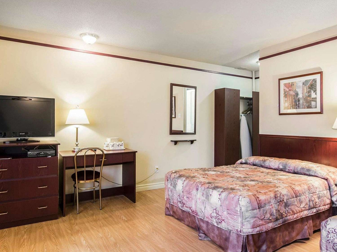 Econo Hotel Levis主图