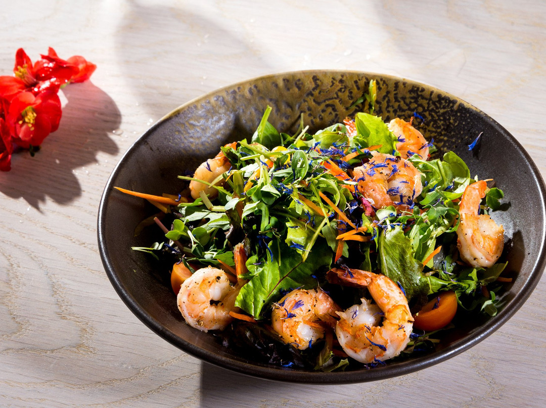 Alpenhotel Ozon Wolfgruber主图