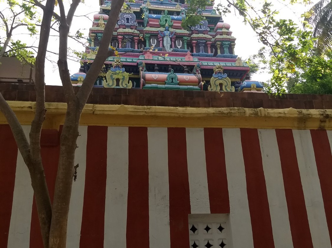 Adi Jagannatha Perumal Temple景点图片