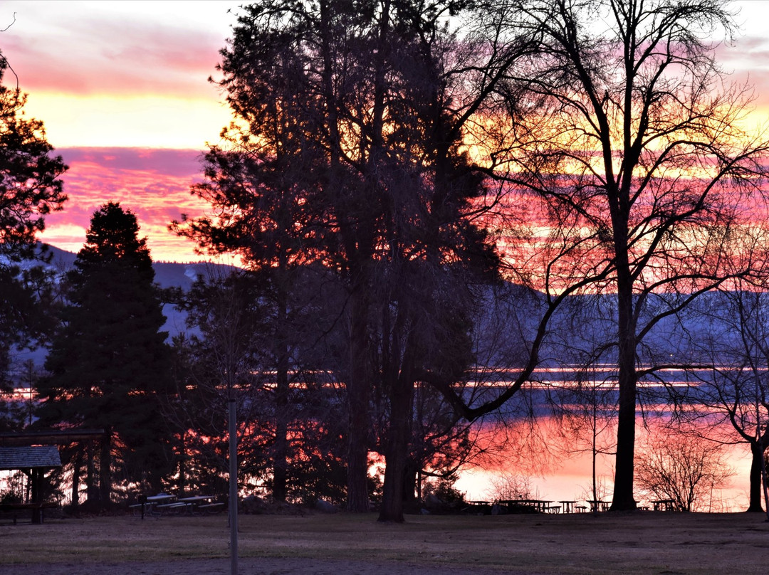 Lake Chelan State Park景点图片