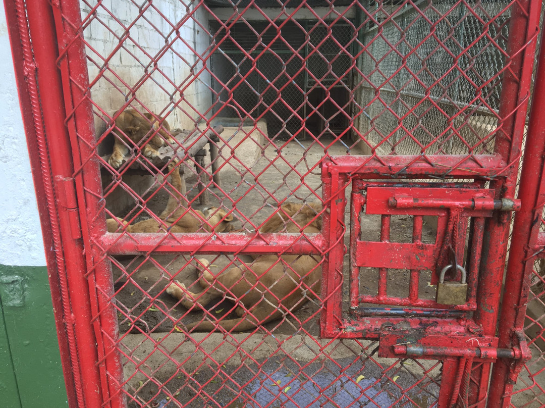 Parque Zoologico Gurabo-圣地亚哥必去景点