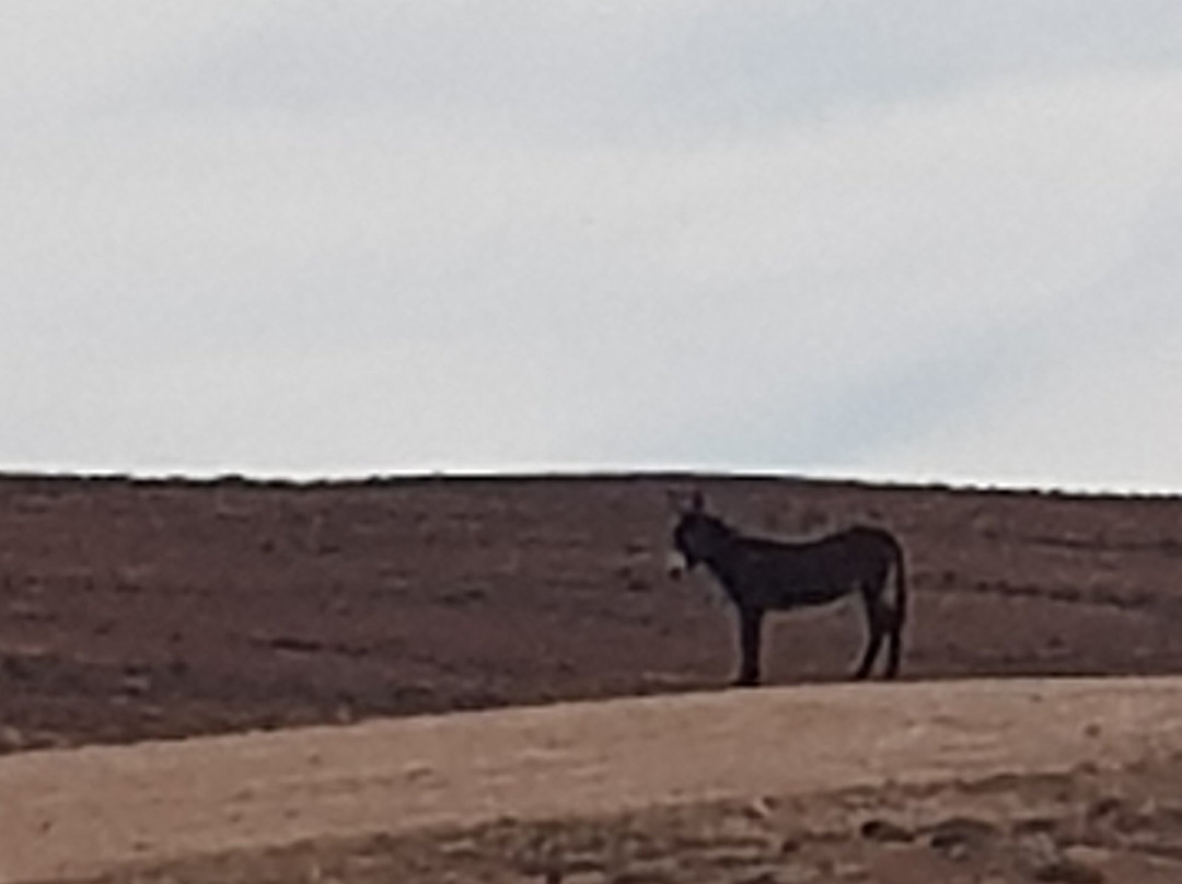 Hondeklipbaai Lighthouse-Hondeklip Bay必去景点
