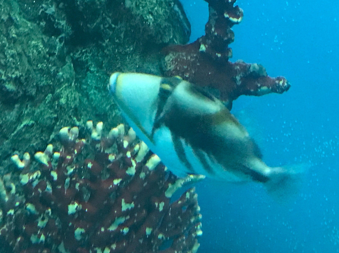 Khlong Khok Kham-龙仔厝必去景点