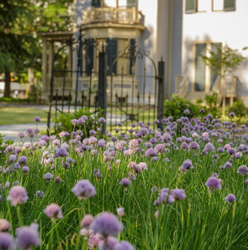 The Museum of Reconstruction Era-哥伦比亚必去景点