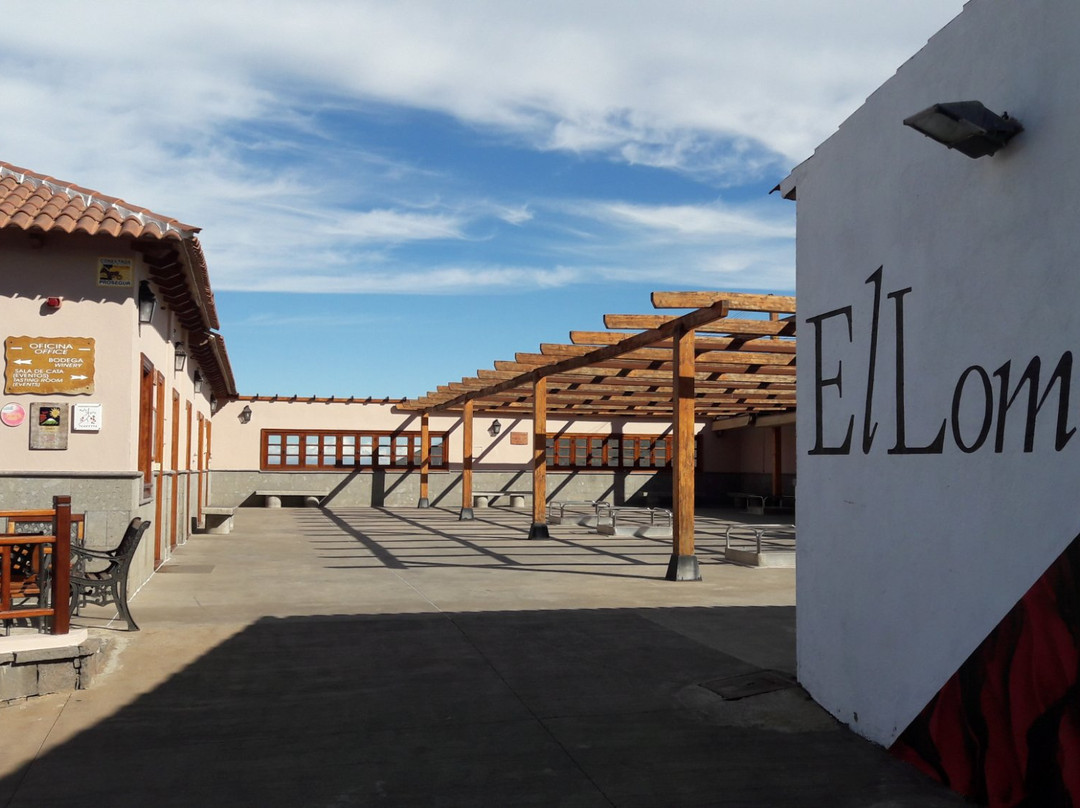 Bodega El Lomo-Tegueste必去景点
