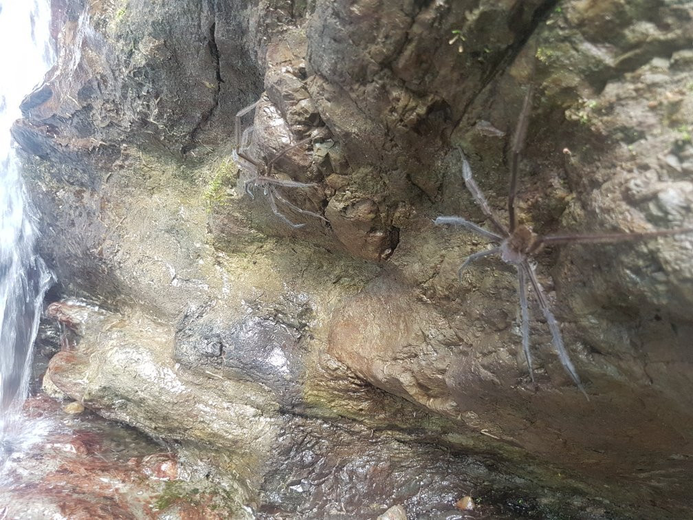 Cascadas de Dos Mangas-Montanita必去景点