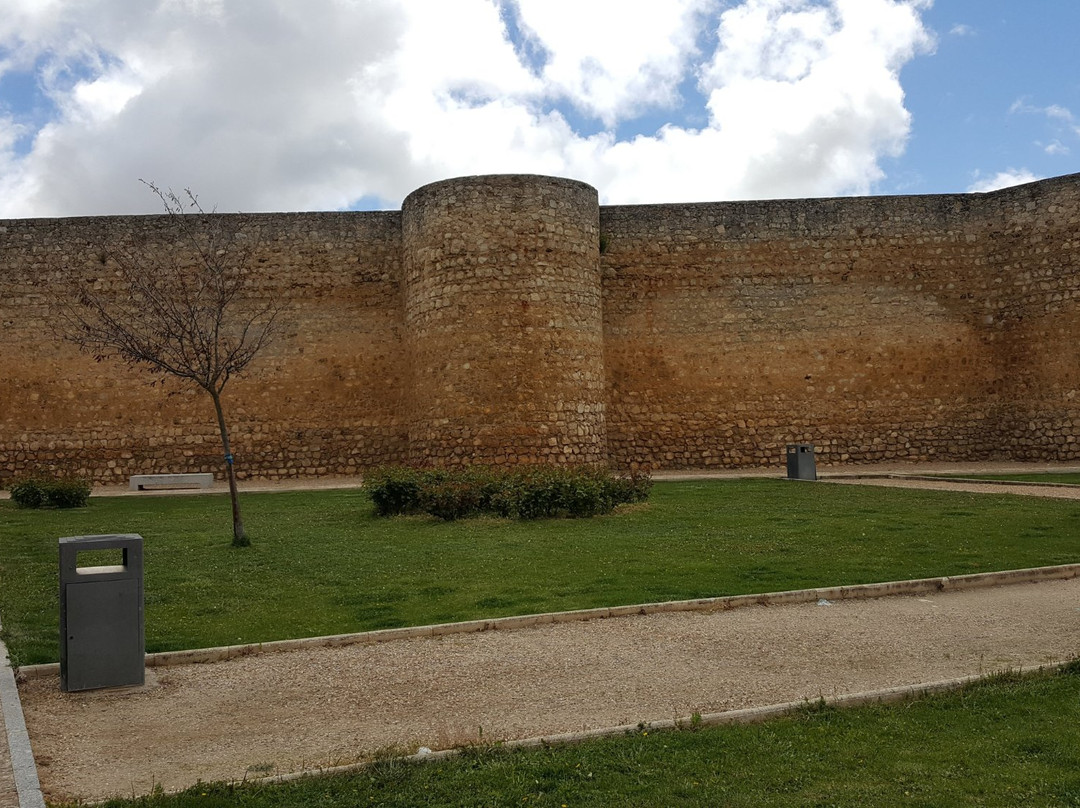 Alcazar de Toro景点图片