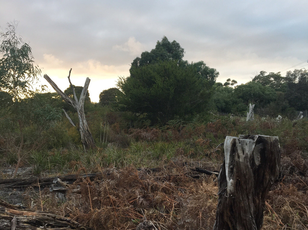 Royal Avenue Park Playground-Sandringham必去景点