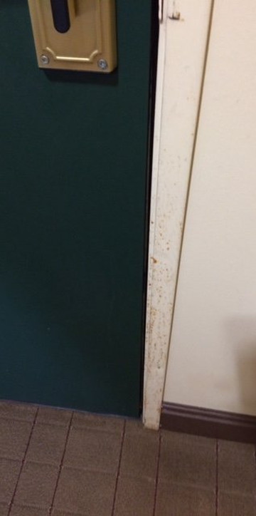 Fitz Tunica Casino & Hotel, Trademark Collection by Wyndham主图