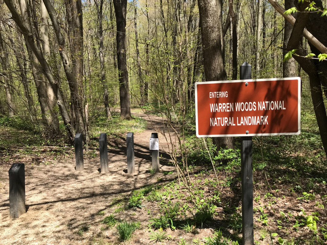 Warren Woods State Park景点图片
