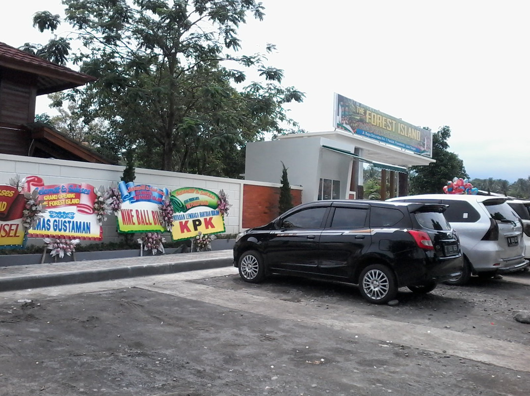 The Forest Island-普禾加多必去景点