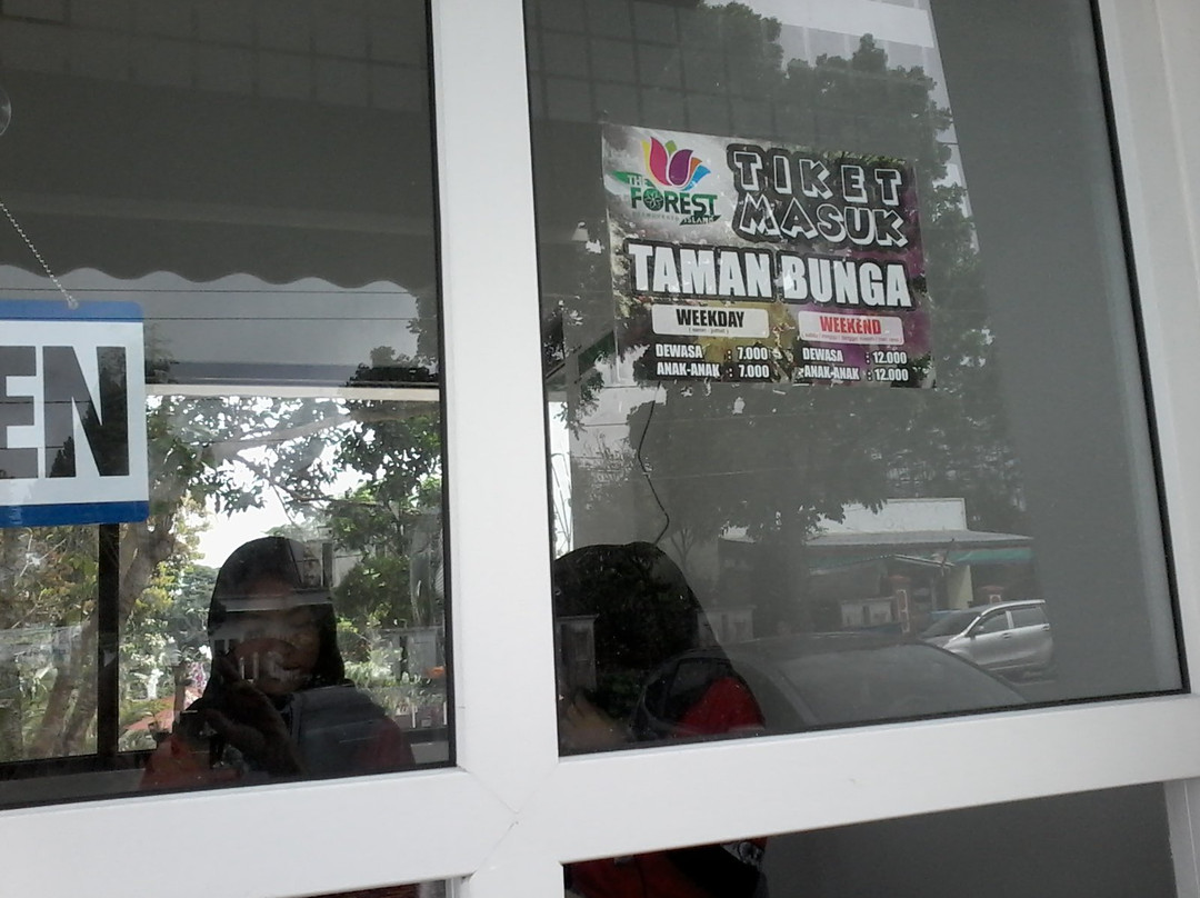 The Forest Island-普禾加多必去景点