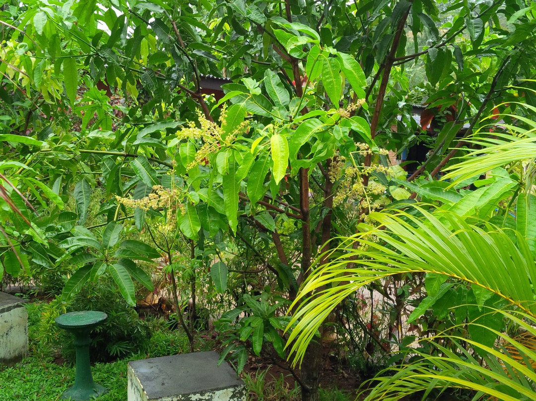 Dad's Holiday Home主图