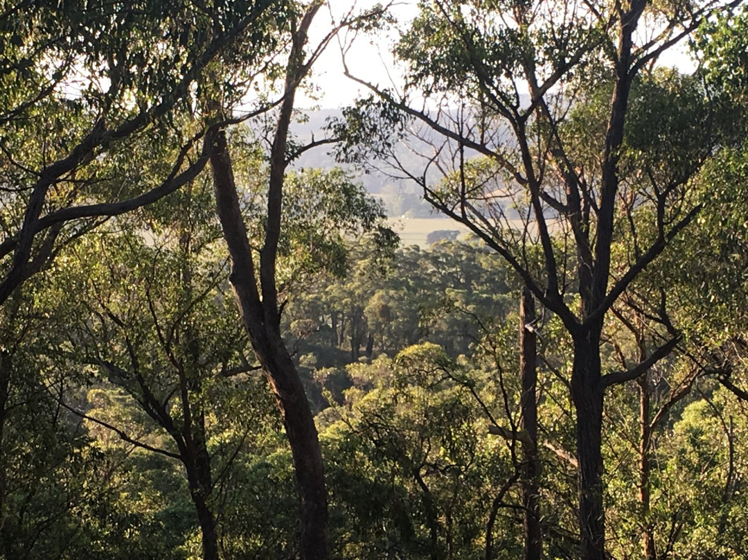 Down to Earth Farm Retreat主图