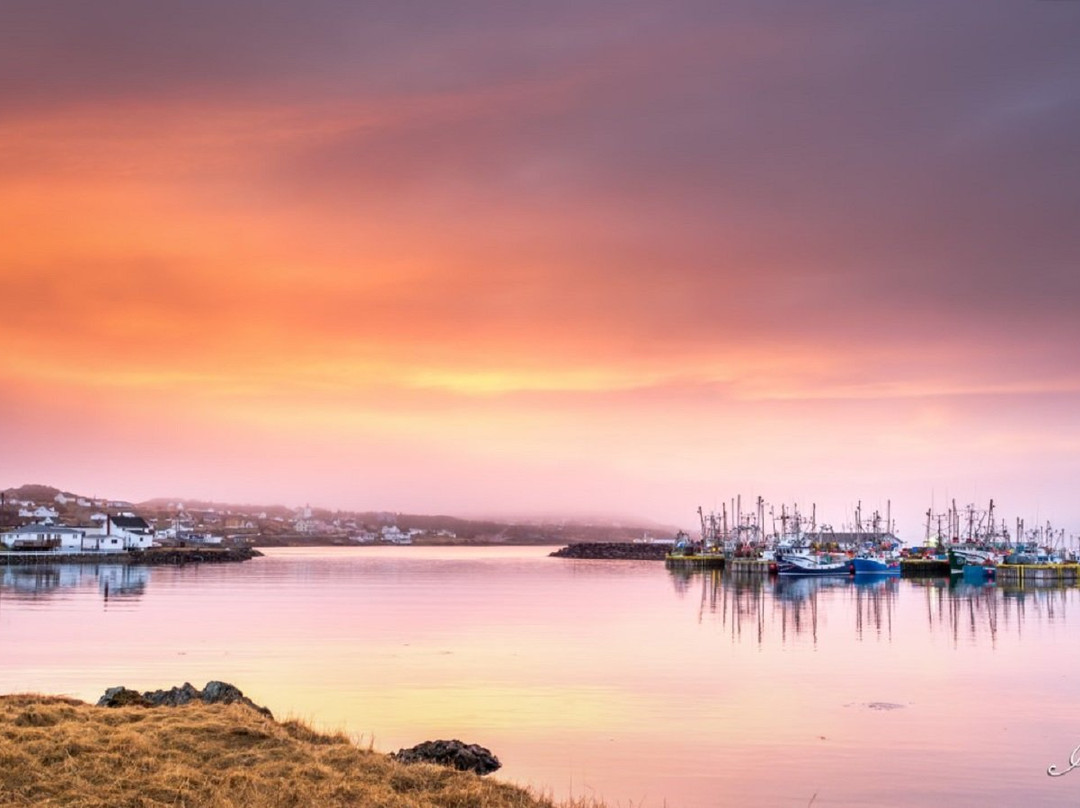 Sunshine Inn - Twillingate & Beyond Inc.主图