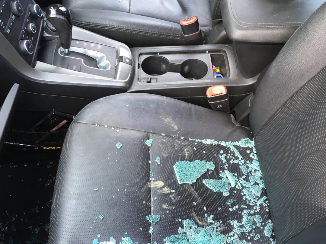 Fairy Falls-奥克兰必去景点