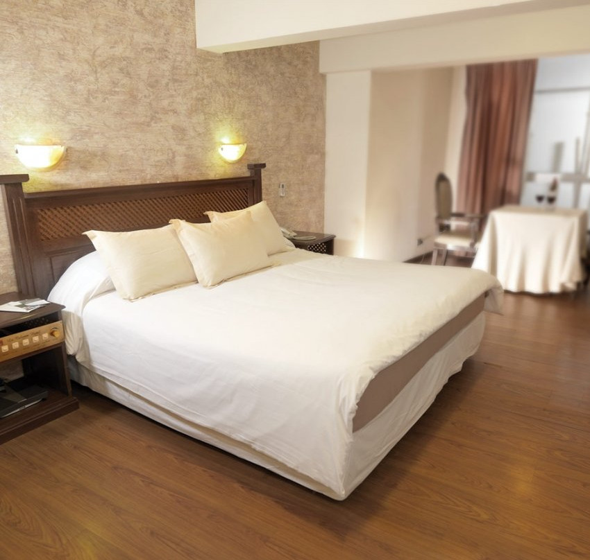 Hotel La Colonia主图