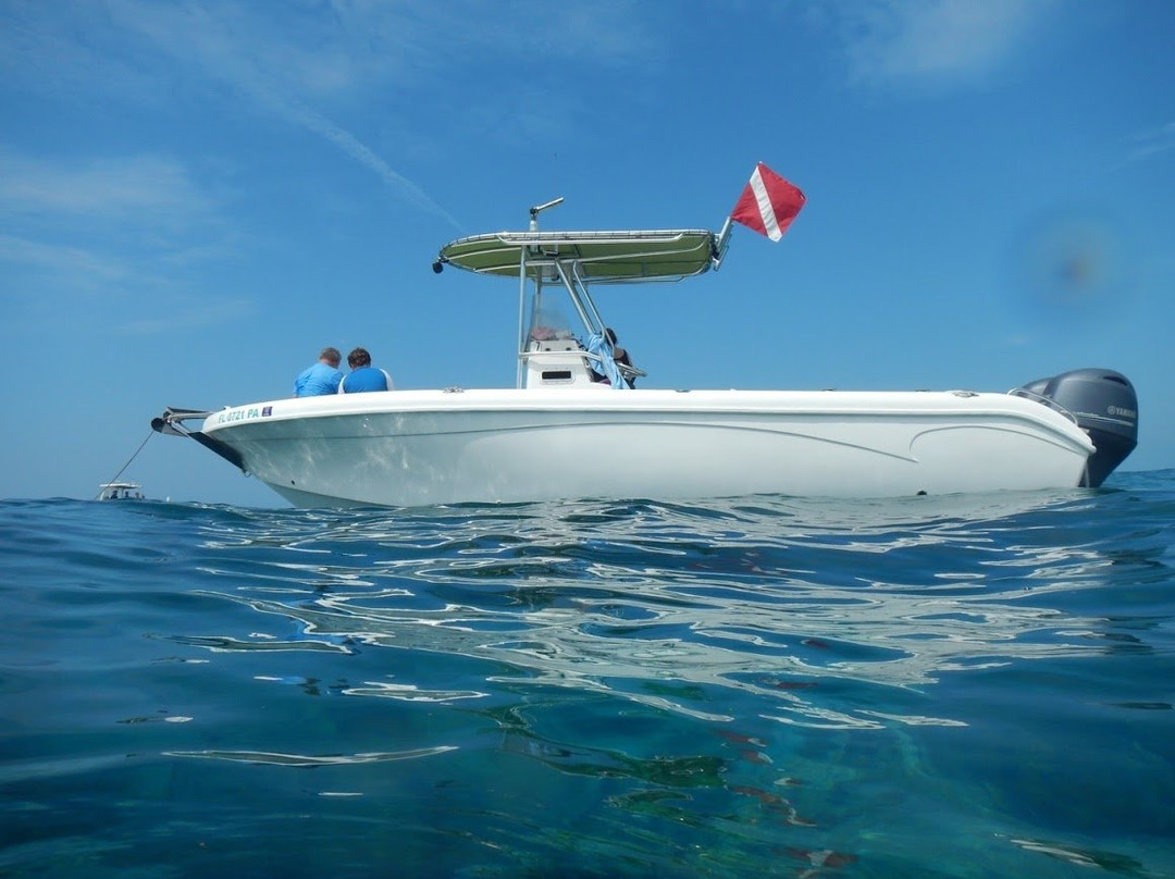 Tropical Boat Rentals景点图片