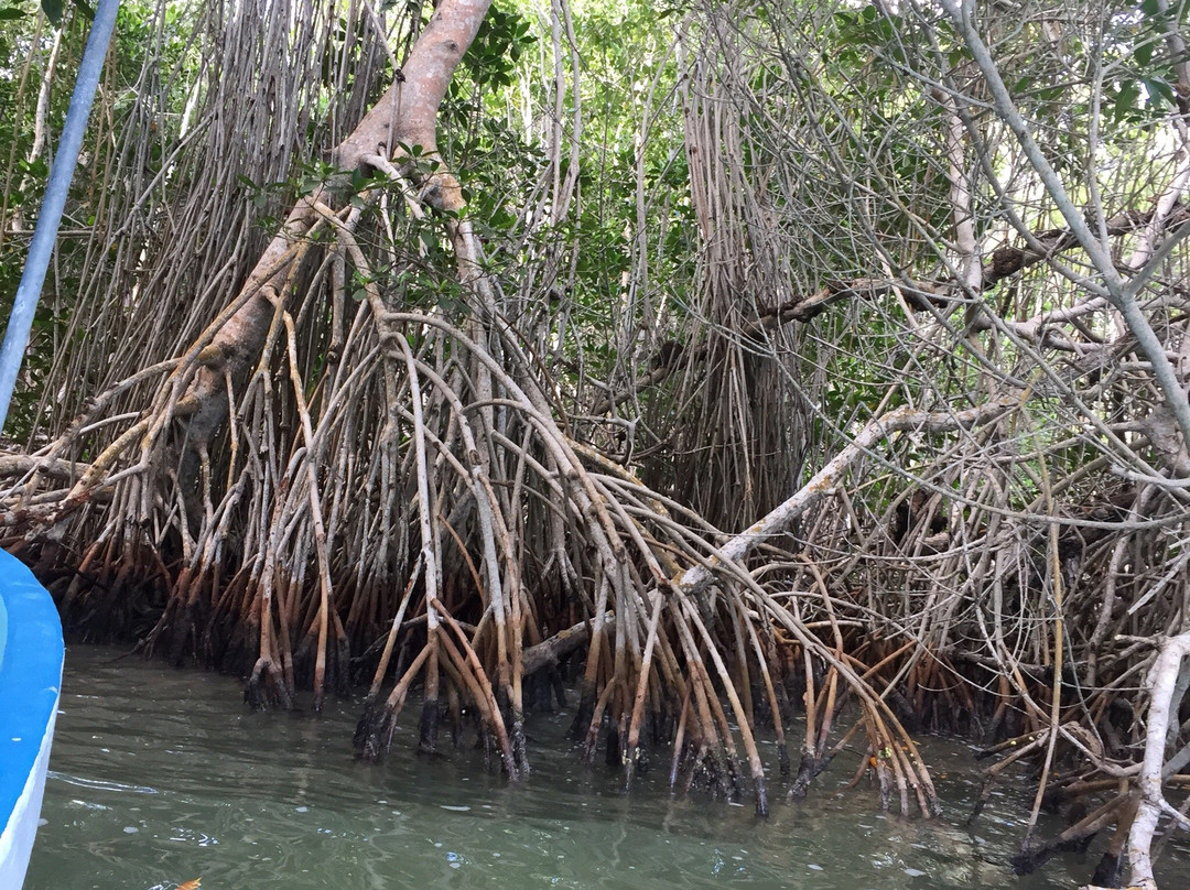 Posada Las Glorias主图
