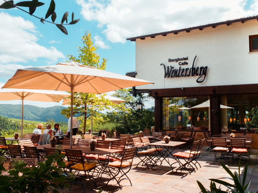 Berghotel Wintersberg主图