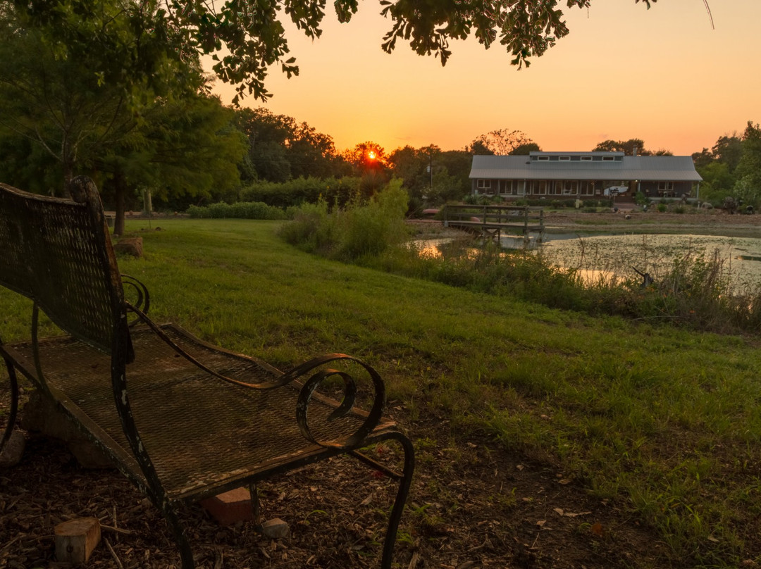 Elisa's Sunday Haus主图