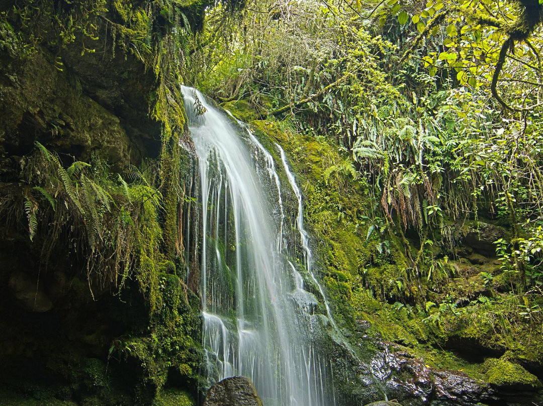 Waterfall of Cariacu景点图片