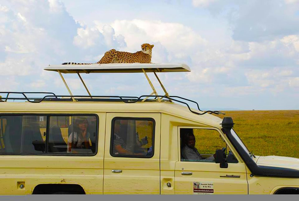 Steenbok Safaris and Car Hire-内罗毕必去景点
