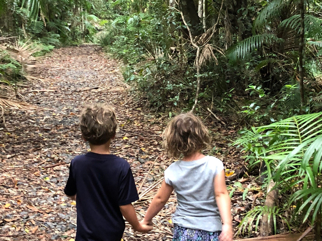 Wedding Bells State Forest-Woolgoolga必去景点