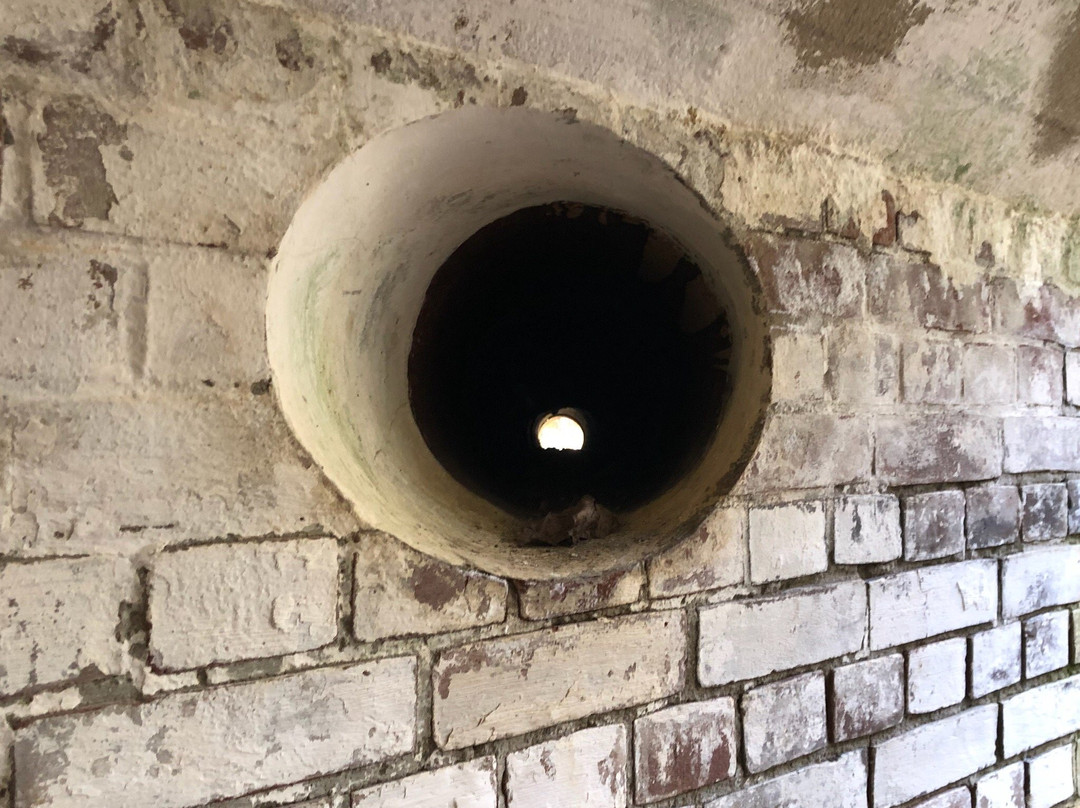 Ashiya Trunk of a Battery-舞鹤市必去景点