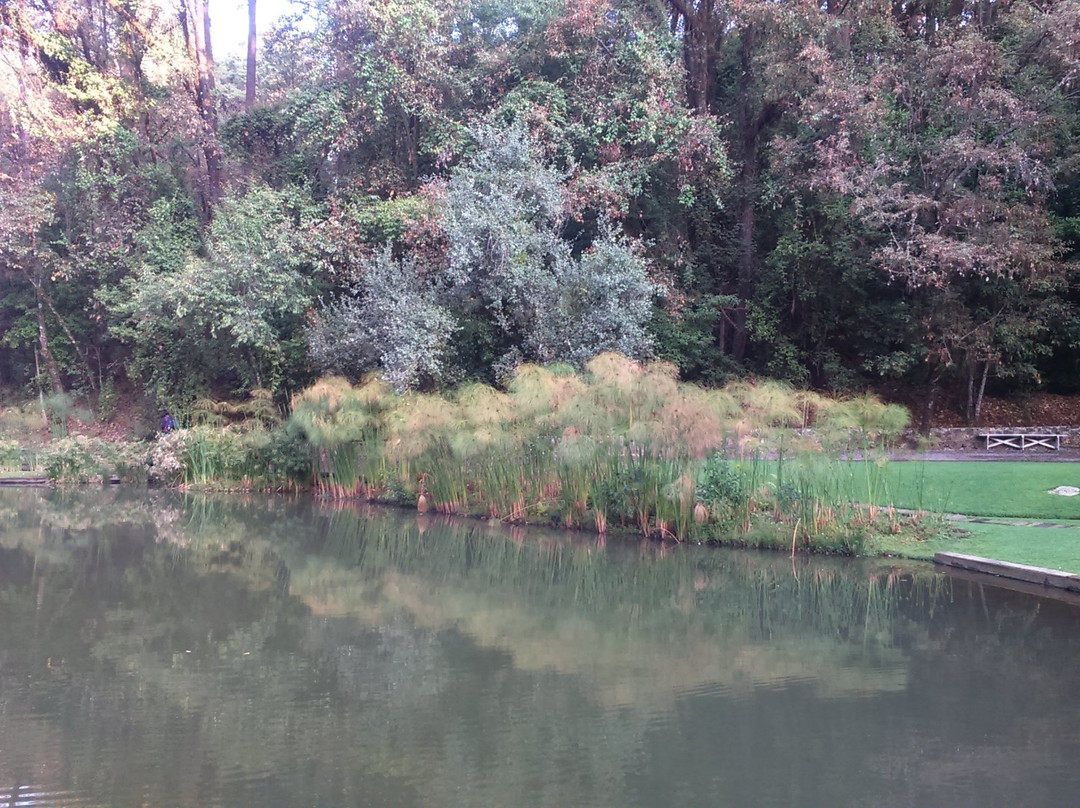 Hotel Rodavento主图