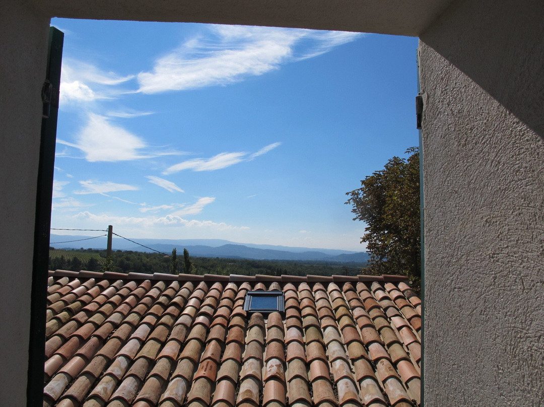 Lou Cardalines主图