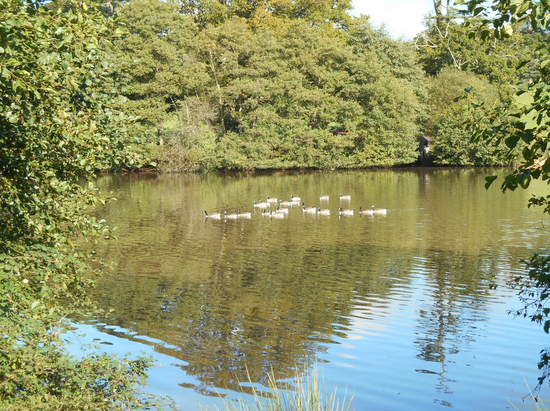 Shobrooke Park-Crediton必去景点