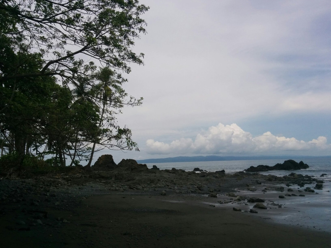 Playa Pavones景点图片