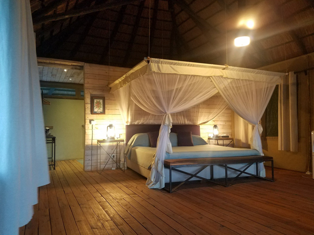 Mighty Safari-阿鲁沙必去景点