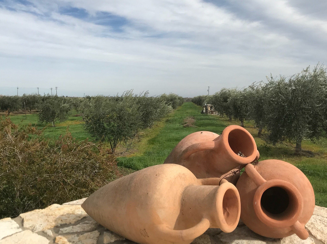 Bondolio Olive Oil Farm景点图片