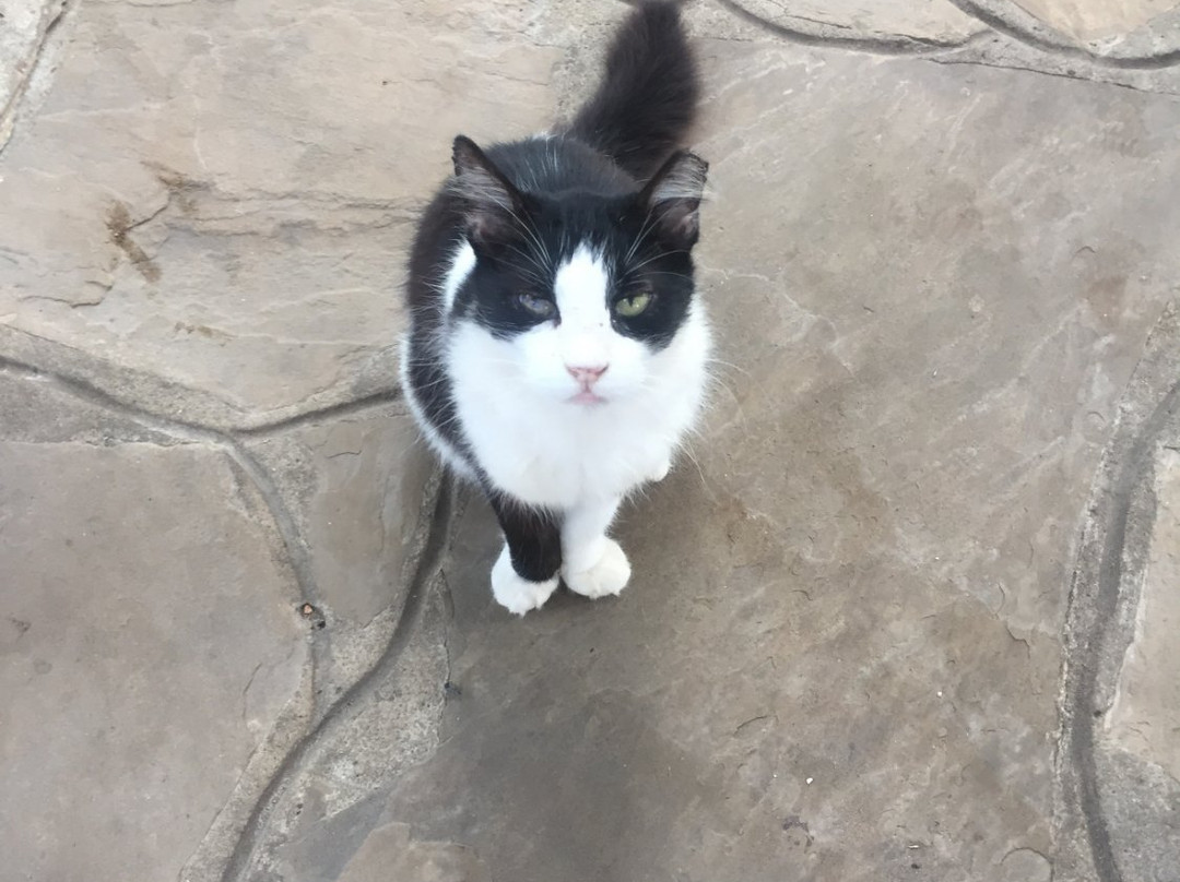 The Sands at Chale Island度假村主图