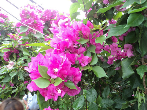 Nyazepetrovsk旅游景点-Narovchatka Museum