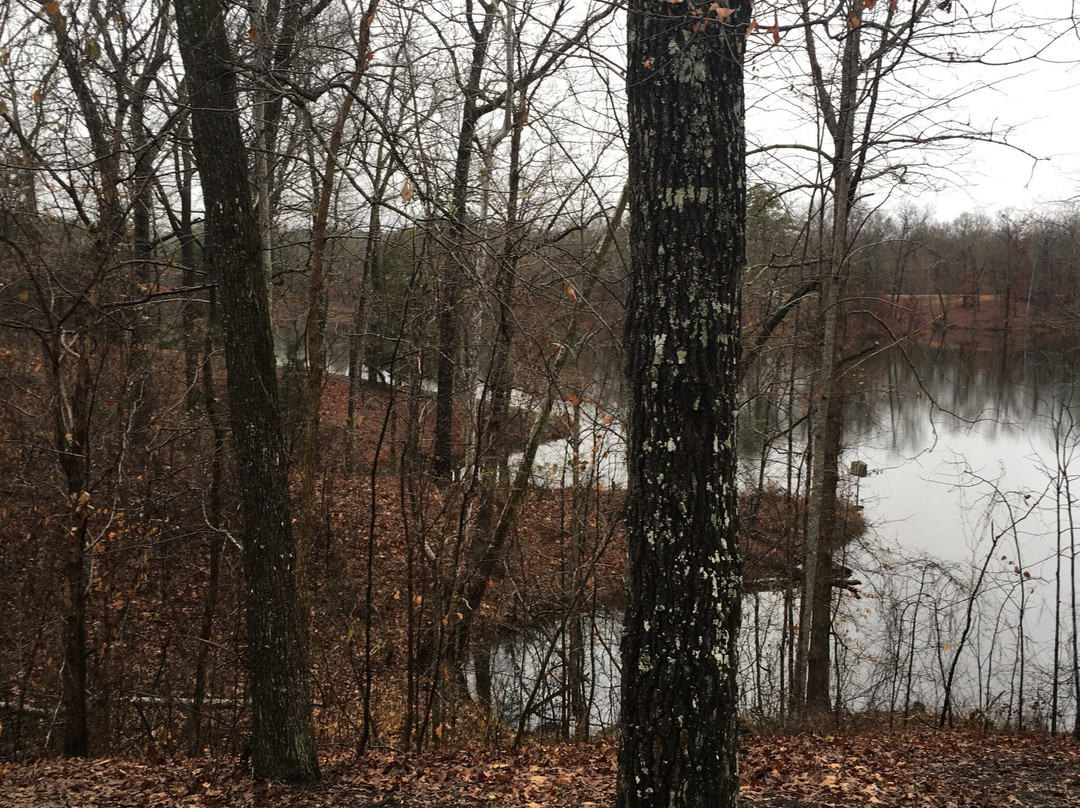 Tombigbee State Park景点图片
