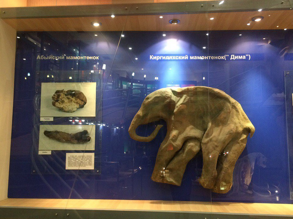 Mammoth Museum景点图片