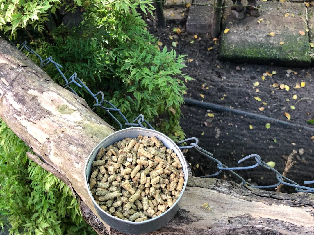 Cushing Zoo-杜梦湾必去景点