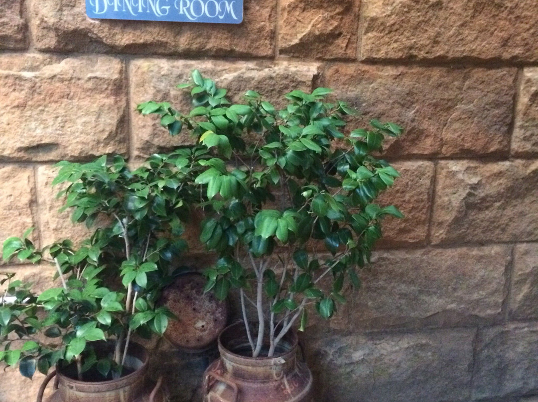 Sandstone Chameleon Guest House主图