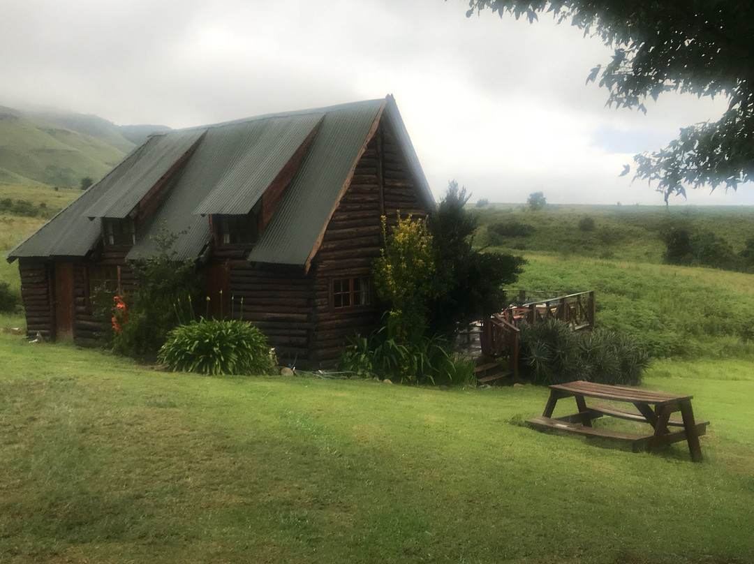 Wild Sky Paragliding-Bulwer必去景点