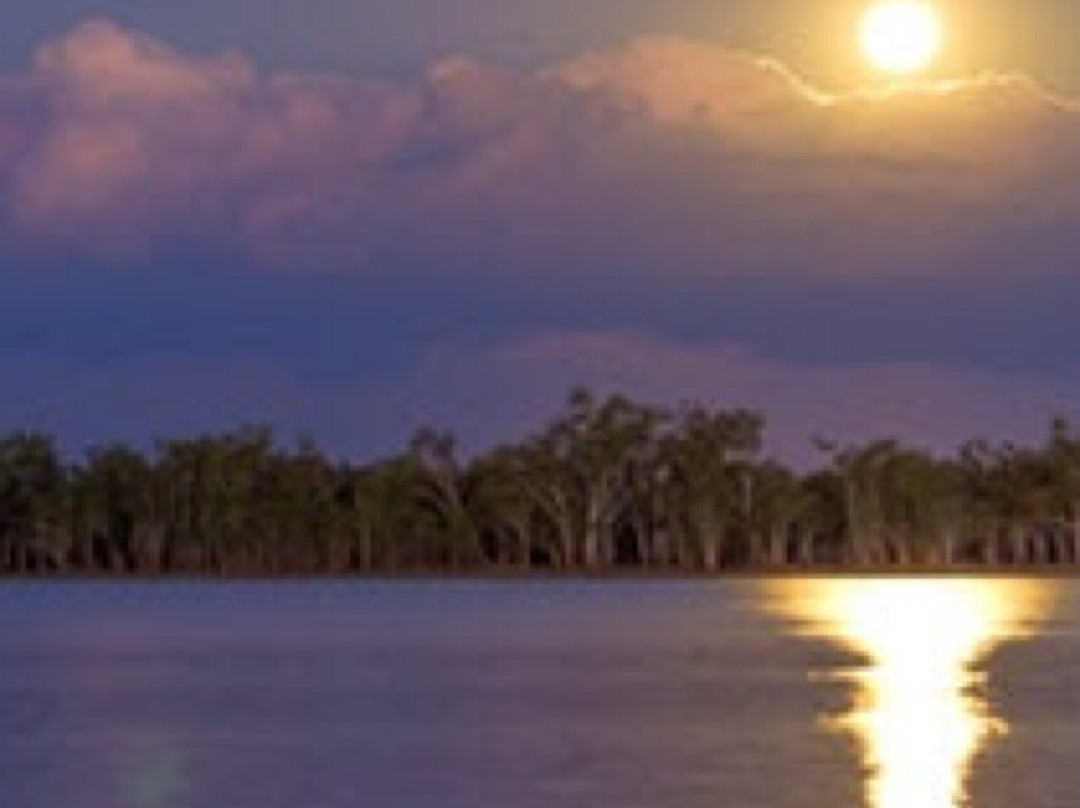 Lake Broadwater Conservation Park景点图片