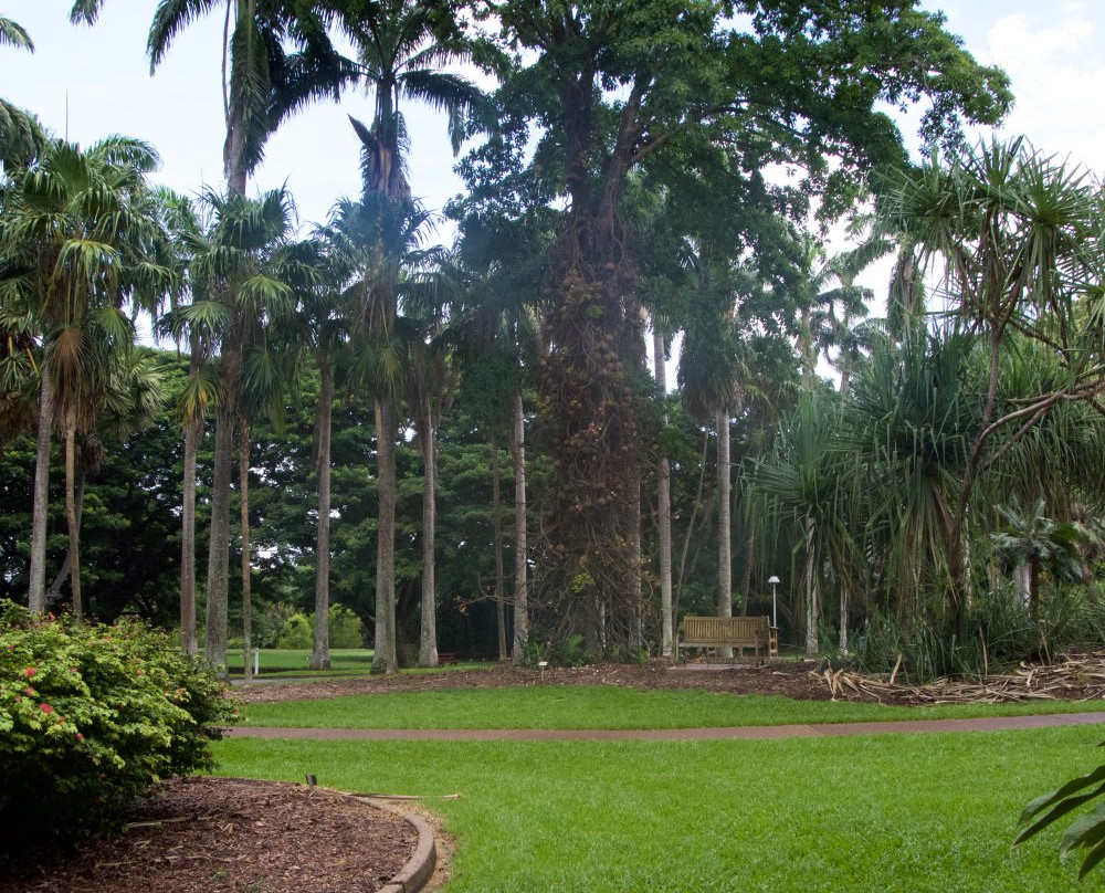 George Brown Darwin Botanic Gardens景点图片