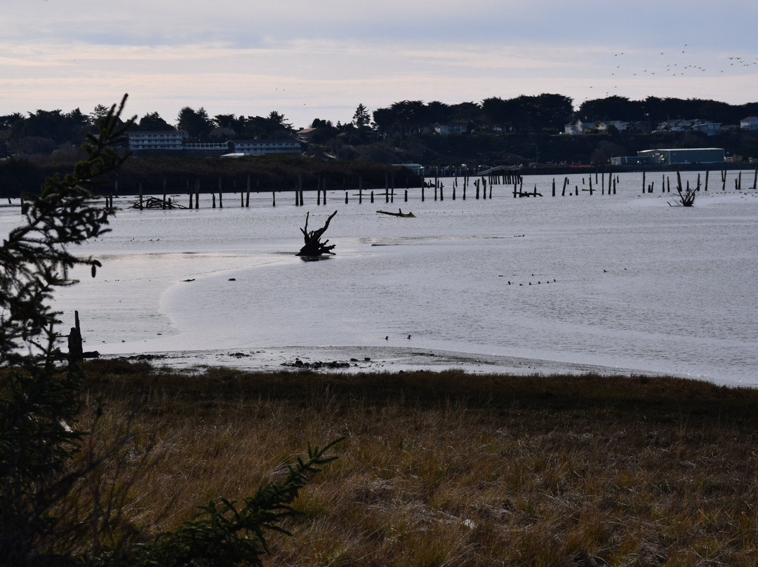 Bandon Marsh National Wildlife Refuge-班登必去景点