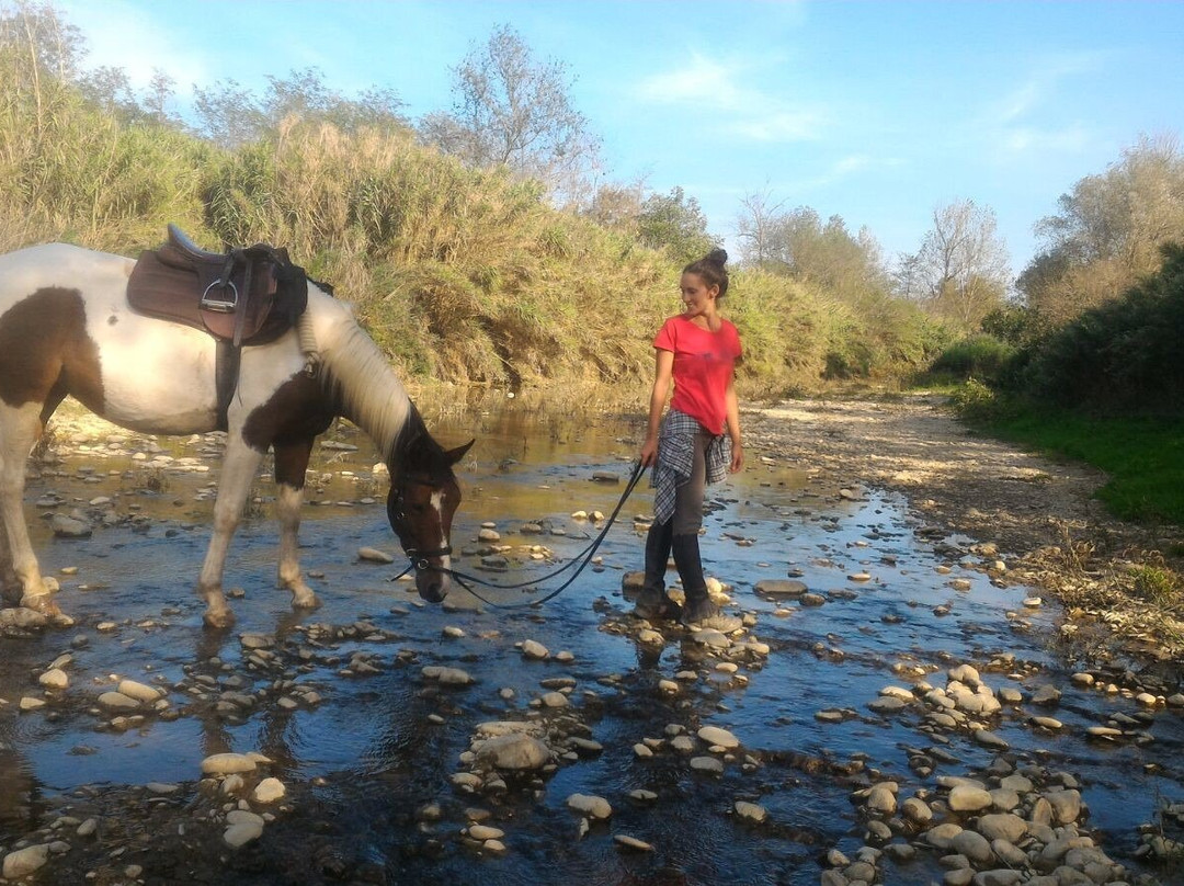 Maneggio Madre Terra-佛罗伦萨必去景点